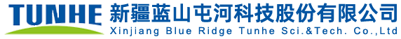 金彩汇